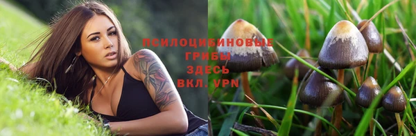винт Каменск-Шахтинский